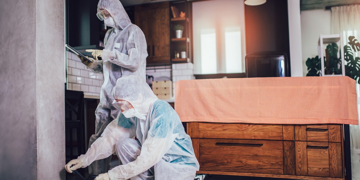 Pest Control Solutions in Maple Ridge