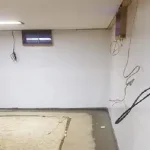 Home Maintenance Tips for Belleville Homeowners Facing Wet Basement Problems